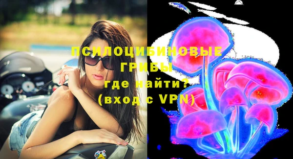 метадон Гусев