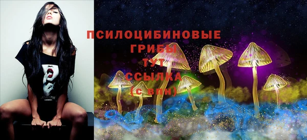 метадон Гусев