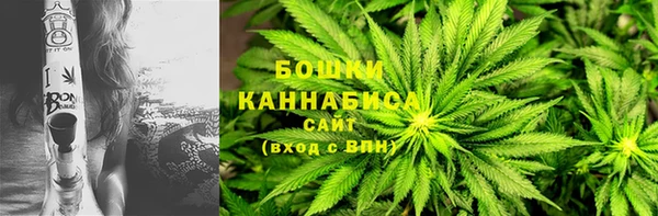 метадон Гусев