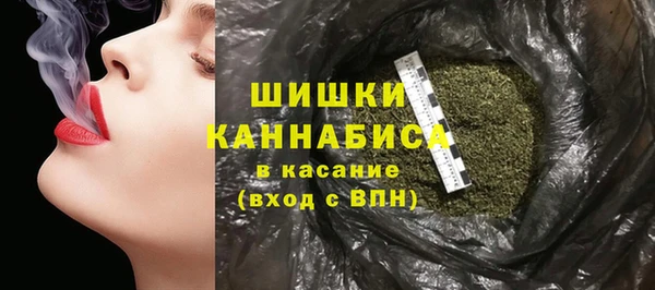 метадон Гусев