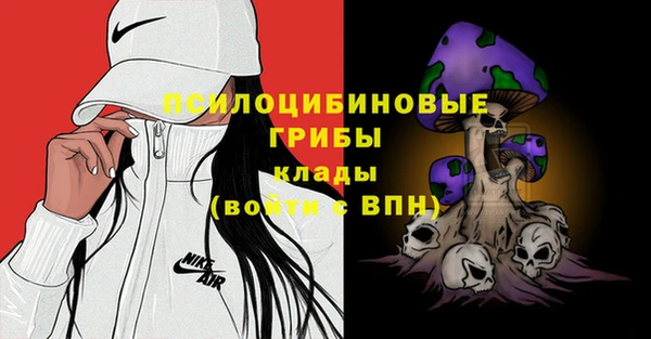 мескалин Гусиноозёрск