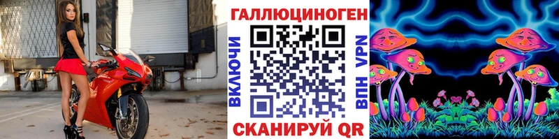 Галлюциногенные грибы мицелий  где купить наркотик  Кировград 